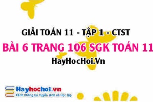 Giải bài 6 trang 106 Toán 11 tập 1 SGK Chân trời sáng tạo